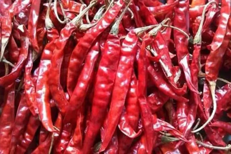 spices exporters in india