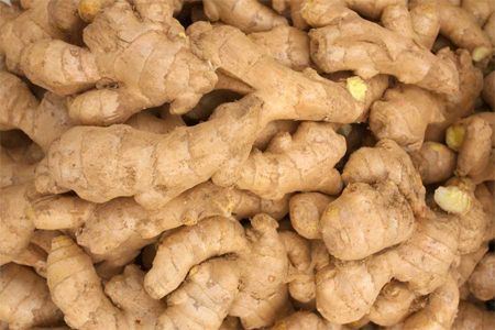 ginger exporters in india
