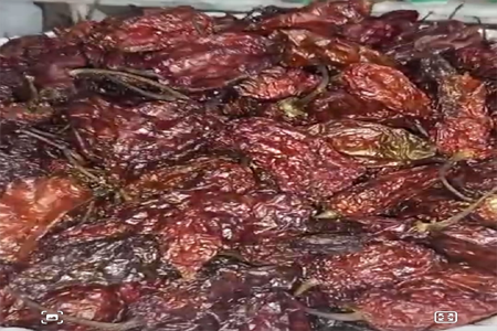 spices suppliers in india